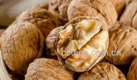 纸皮核桃的功效与作用及禁忌-0