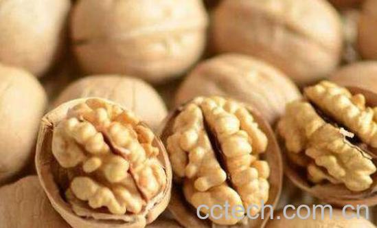 纸皮核桃的功效与作用及禁忌-1