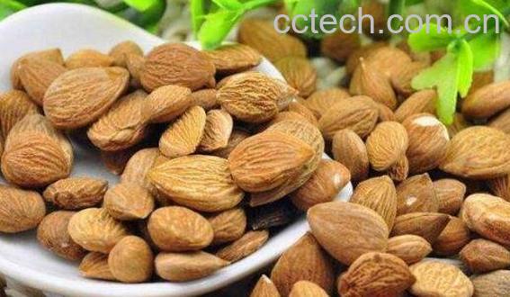 甜杏仁的功效与作用 甜杏仁吃多少会中毒-0