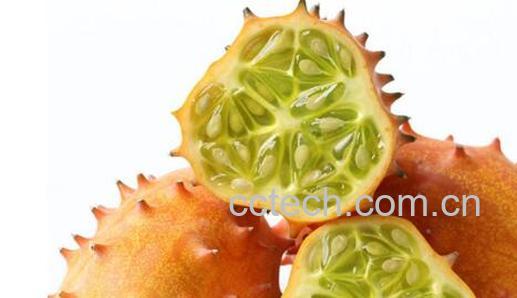 刺角瓜的养生功效和食用禁忌-0