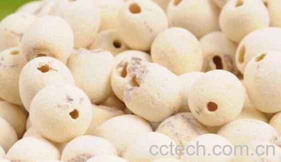 石莲肉和莲子的区别 石莲肉的功效-0