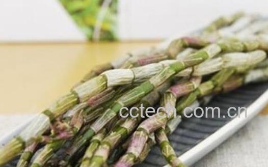 石斛最佳吃法和时间-1