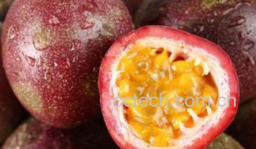 女人吃百香果的危害-1