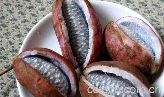 八月瓜的功效与作用 八月瓜怎么吃-0