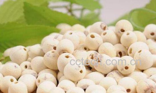 莲子肉的功效与作用及禁忌症-1