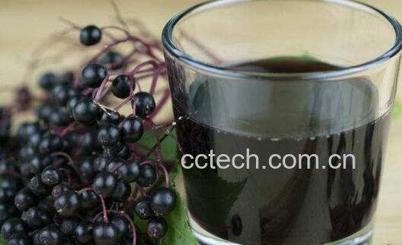 接骨木果汁的功效与作用-0