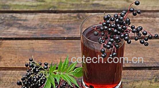 接骨木果汁的功效与作用-1