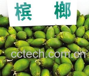 果蔬百科槟榔的功效-0