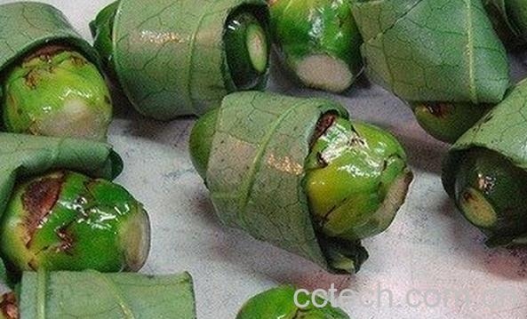 果蔬百科男人吃槟榔的危害-0