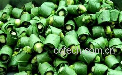 吃槟榔会上瘾吗-0