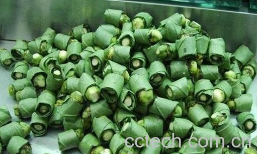 常吃槟榔的危害有哪些-0