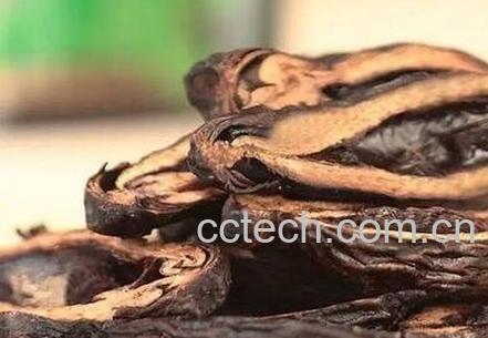 炙槟榔功效与作用-0