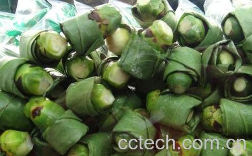 槟榔有什么作用 槟榔的危害-1