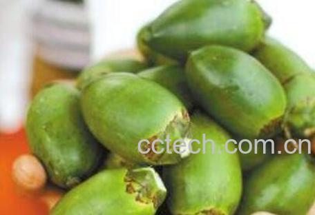  吃槟榔的好处和危害-0