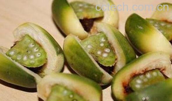  槟榔的功效与作用 槟榔致癌为什么不禁止-1