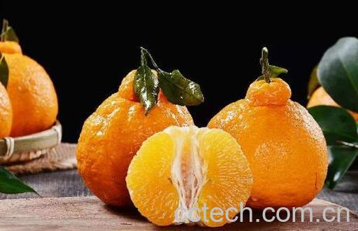 丑橘的营养价值 丑橘的功效与作用-0