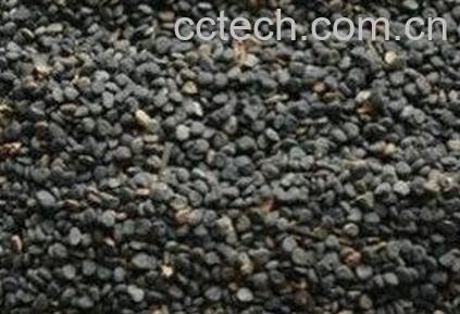 白曼陀罗果子的功效-0