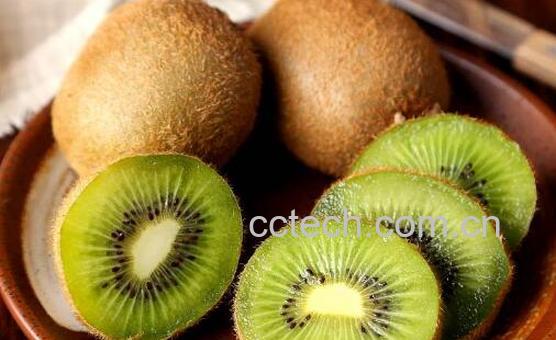 吃什么水果最能减肥 吃什么水果减肥最有效-1