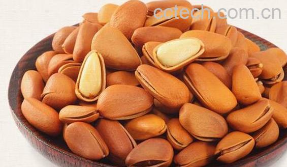 吃松子有什么好处与坏处-0