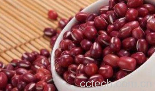 吃什么补气血 补气血吃什么水果好-1