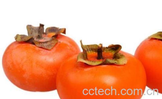 吃柿子不能吃什么 吃柿子的饮食禁忌-0