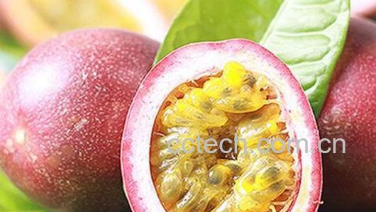 吃西番莲的功效与作用-0