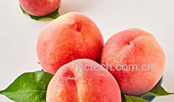 吃桃子的好处与坏处 吃桃子的禁忌-0