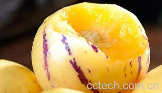 吃人参果的好处和禁忌事项-1