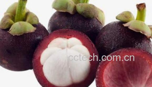 吃山竹皮有什么好处 山竹皮的功效与作用-0