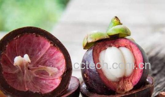 吃山竹皮有什么好处 山竹皮的功效与作用-1