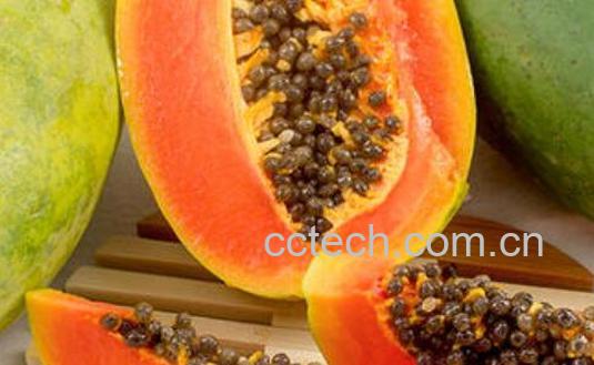 吃木瓜的好处和坏处 吃木瓜的最佳时间-0