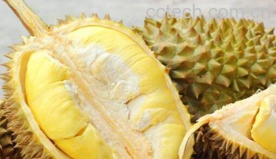 吃榴莲有什么好处 吃榴莲的好处有哪些-1