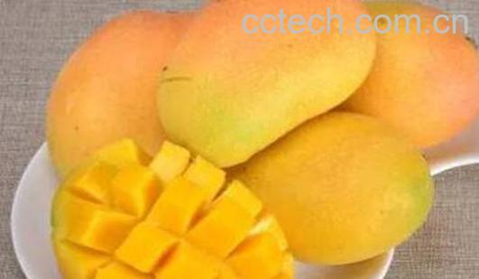 吃芒果的好处和坏处 吃芒果有什么好处-1