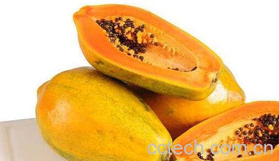 吃木瓜的好处和坏处 木瓜什么时候吃最好-1