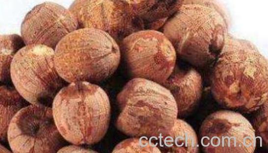 红莲子和白莲子的区别 吃莲子的好处-0