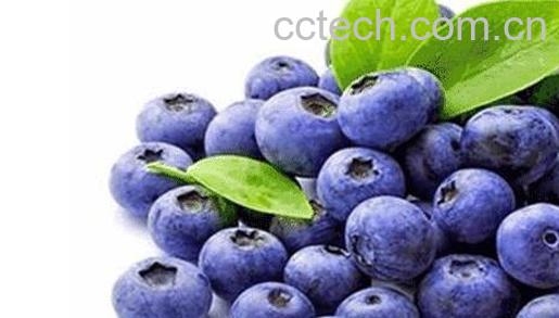 花青素的功效与作用及禁忌 花青素哪些人不能喝-0