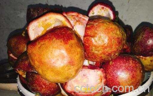 百香果皮的功效与作用 吃百香果皮的好处-0