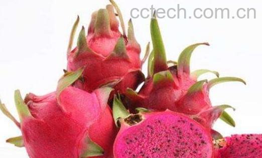 吃火龙果的好处和坏处 吃火龙果有什么好处与禁忌-0