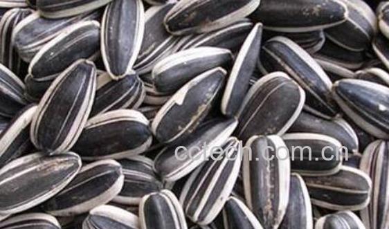 吃葵花籽的好处和坏处 葵花籽一次适合吃多少-1