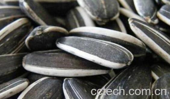 吃葵花籽的好处和坏处 葵花籽一次适合吃多少-0