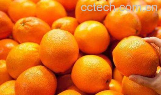 橘子和桔子有什么区别-0