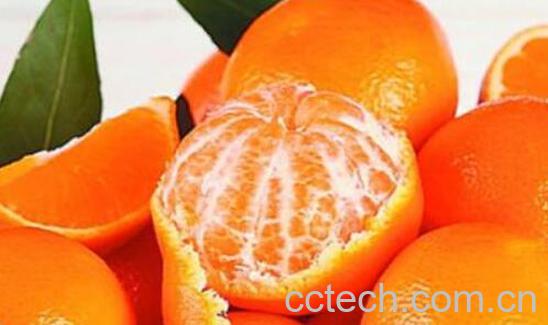 橘子和桔子有什么区别-1