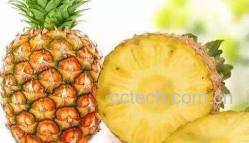 凤梨和菠萝的区别 菠萝跟凤梨有什么区别-1