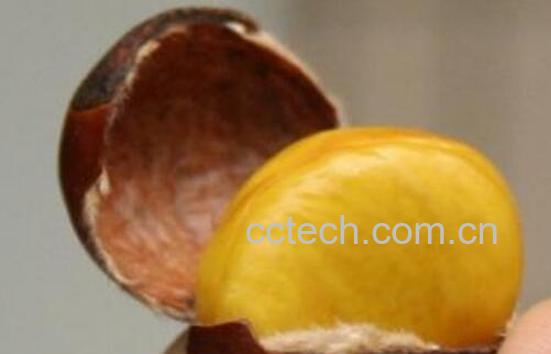 板栗怎么去皮 生板栗怎么去皮最快-1