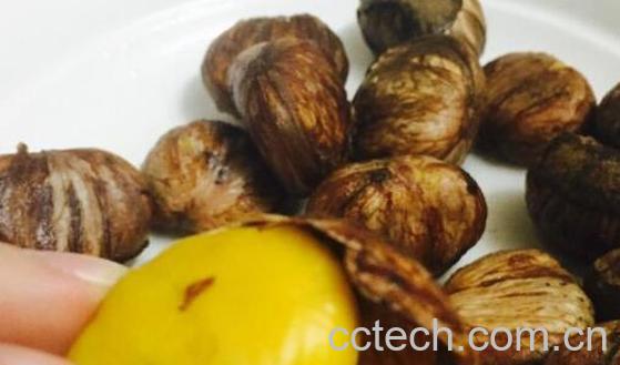 板栗怎么去皮 生板栗怎么去皮最快-0