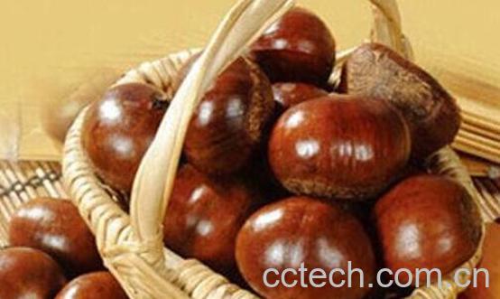 板栗的热量是多少 板栗的功效与作用-1