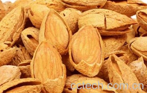 巴旦木的营养价值 吃巴旦木的好处-1