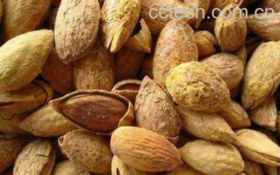 巴旦木的营养价值 吃巴旦木的好处-0