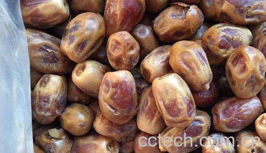 椰枣是枣吗 椰枣的功效与作用-0