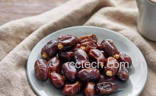 椰枣是枣吗 椰枣的功效与作用-1